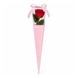 Cone Flower Bag