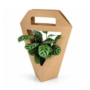 Kraft Paper Bag