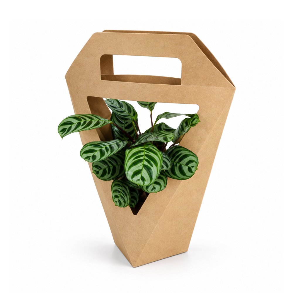 Kraft Paper Bag