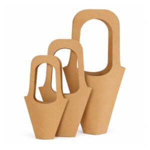 Kraft Paper Bag