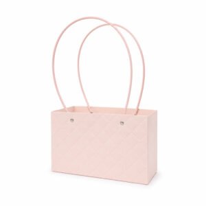 Embossed Rectangle Plain Waterproof Cardboard Paper Bag