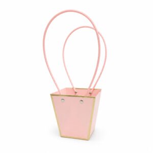 T-Shape Waterproof Cardboard Paper Bag with Hot Stamping